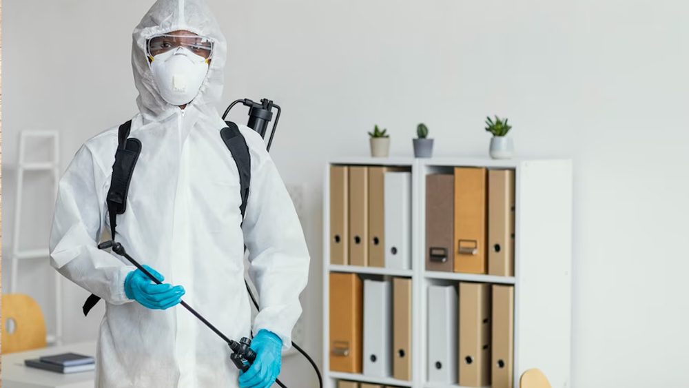 Hire-the-Best-Pest-Control