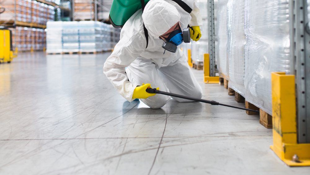 The-Best-Pest-Control-Service-Dubai